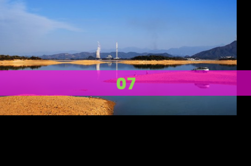 07