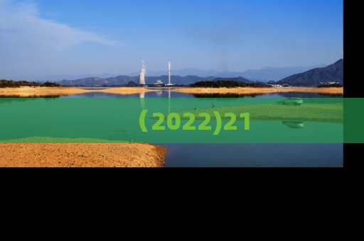 （2022)21