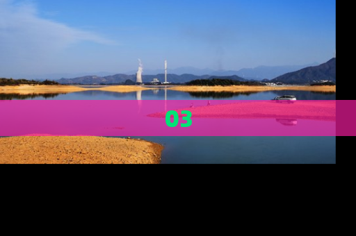 03
