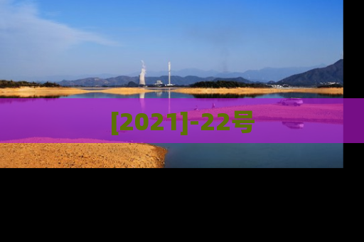[2021]-22号
