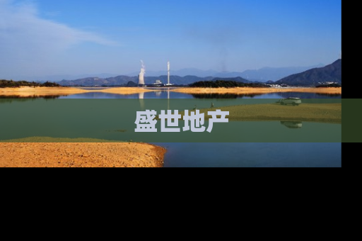 盛世地产