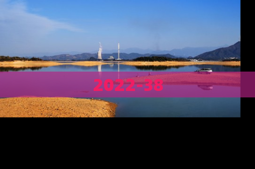 2022-38