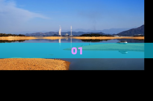 01