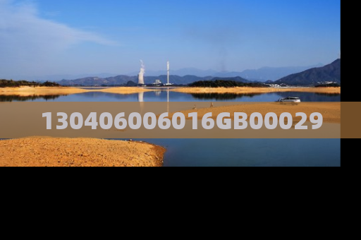 130406006016GB00029
