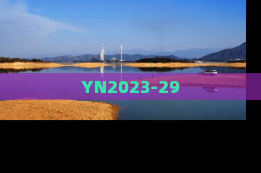 YN2023-29