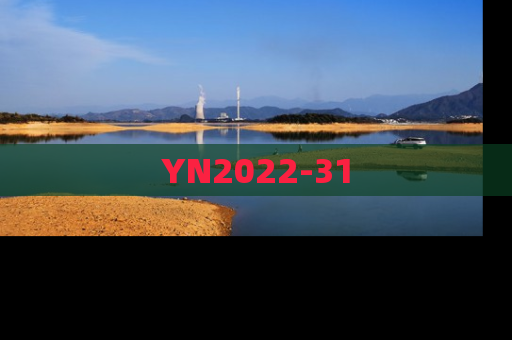 YN2022-31