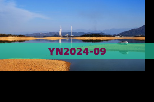 YN2024-09