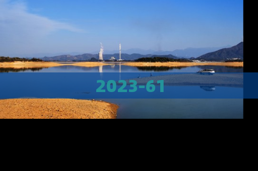 2023-61