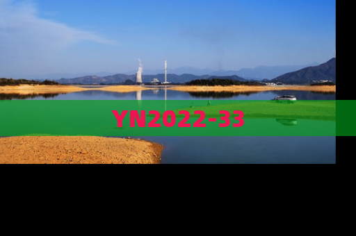 YN2022-33