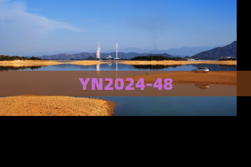 YN2024-48
