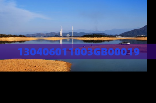 130406011003GB00019