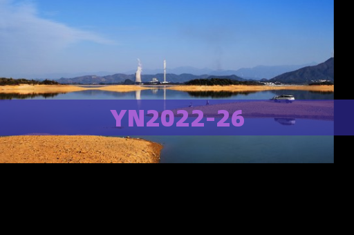 YN2022-26