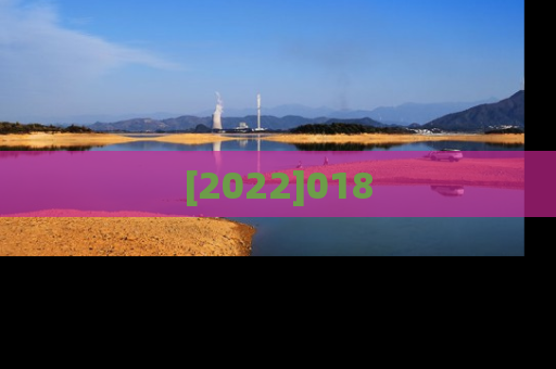 [2022]018