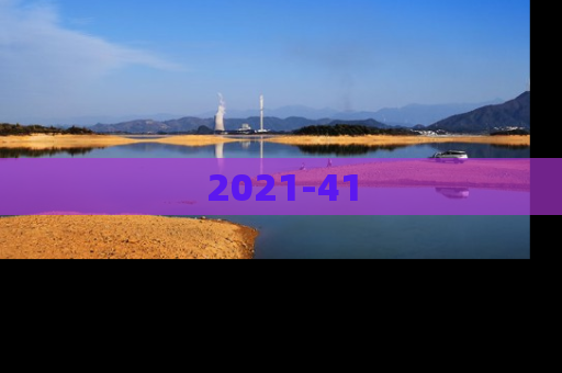 2021-41
