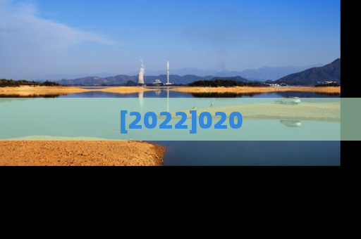 [2022]020