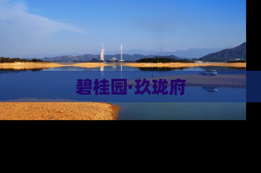 碧桂园·玖珑府