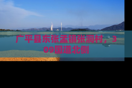 广平县东张孟镇张洞村，309国道北侧