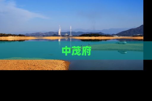 中茂府