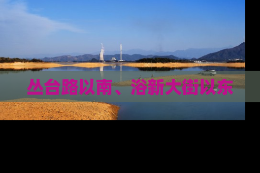 丛台路以南、浴新大街以东