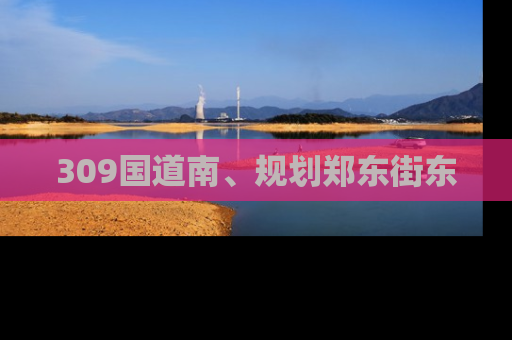 309国道南、规划郑东街东