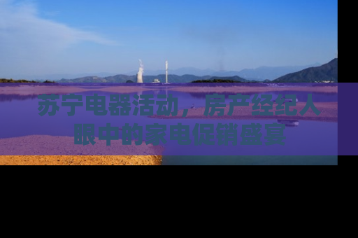苏宁电器活动，房产经纪人眼中的家电促销盛宴