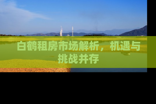 白鹤租房市场解析，机遇与挑战并存