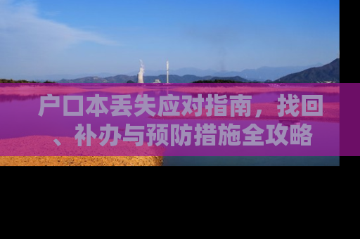 户口本丢失应对指南，找回、补办与预防措施全攻略