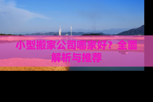 小型搬家公司哪家好？全面解析与推荐