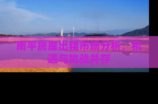 南平房屋出租市场分析，机遇与挑战并存