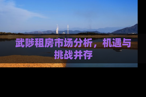 武陟租房市场分析，机遇与挑战并存