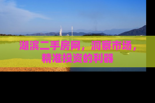 湖滨二手房网，洞察市场，精准投资的利器