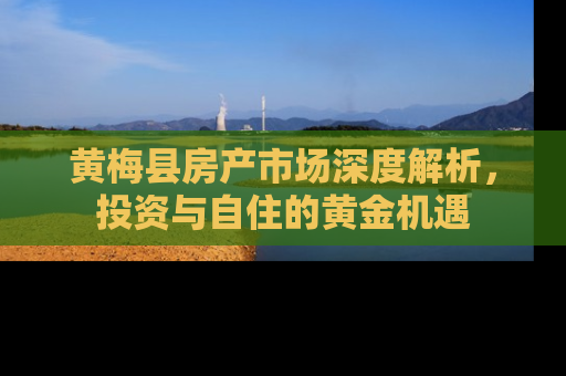 黄梅县房产市场深度解析，投资与自住的黄金机遇
