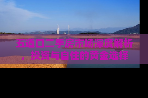 五道口二手房市场深度解析，投资与自住的黄金选择
