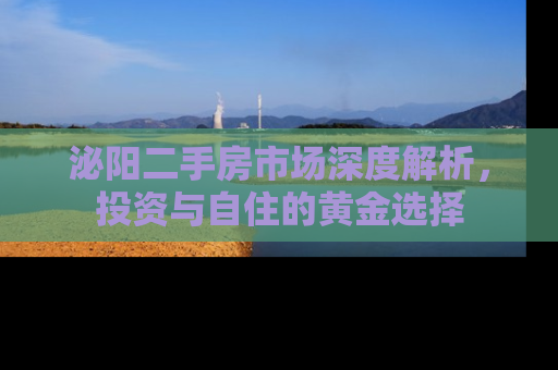 泌阳二手房市场深度解析，投资与自住的黄金选择