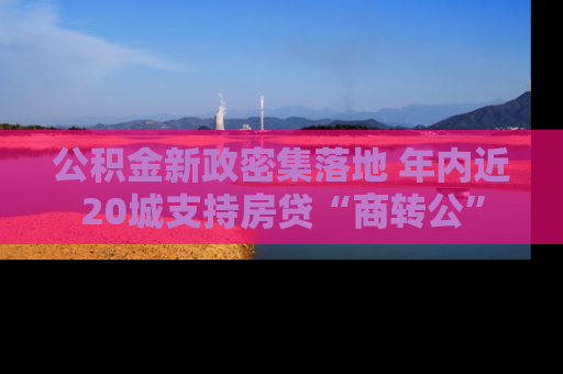 公积金新政密集落地 年内近20城支持房贷“商转公”