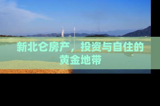 新北仑房产，投资与自住的黄金地带