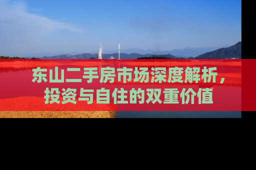 东山二手房市场深度解析，投资与自住的双重价值