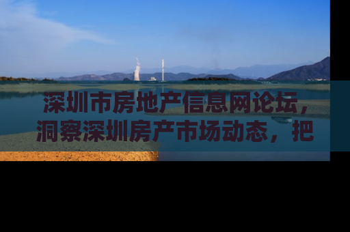 深圳市房地产信息网论坛，洞察深圳房产市场动态，把握投资机遇