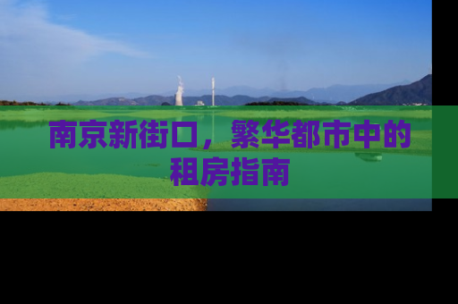 南京新街口，繁华都市中的租房指南