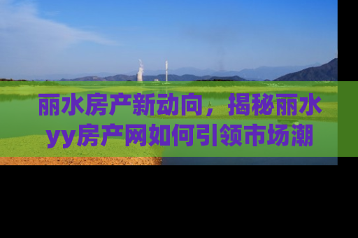 丽水房产新动向，揭秘丽水yy房产网如何引领市场潮流