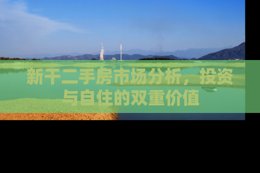 新干二手房市场分析，投资与自住的双重价值