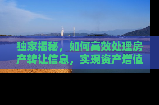 独家揭秘，如何高效处理房产转让信息，实现资产增值