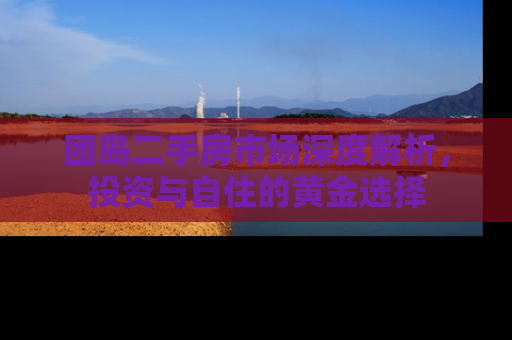 团岛二手房市场深度解析，投资与自住的黄金选择
