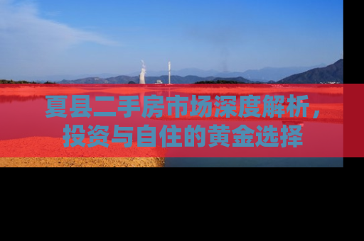 夏县二手房市场深度解析，投资与自住的黄金选择