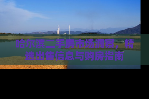 哈尔滨二手房市场洞察，精选出售信息与购房指南
