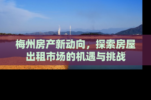 梅州房产新动向，探索房屋出租市场的机遇与挑战