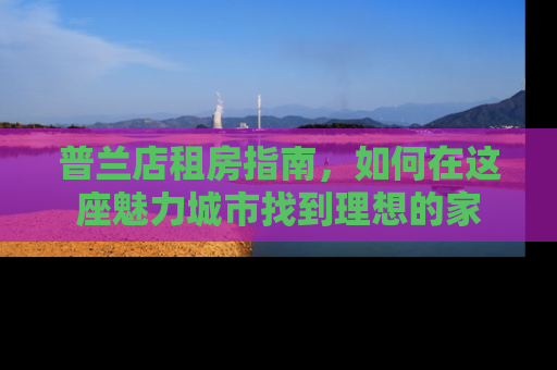 普兰店租房指南，如何在这座魅力城市找到理想的家