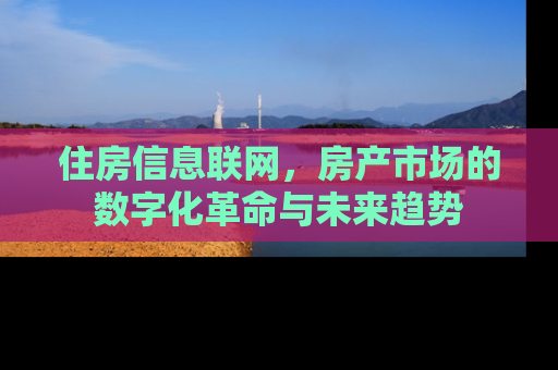 住房信息联网，房产市场的数字化革命与未来趋势