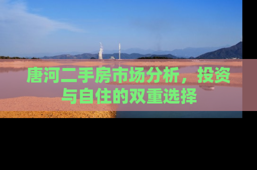 唐河二手房市场分析，投资与自住的双重选择