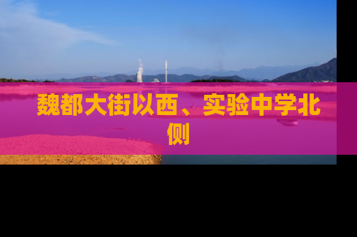 魏都大街以西、实验中学北侧